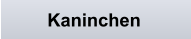 Kaninchen